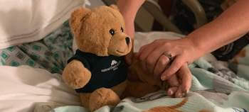 Hospice Bear