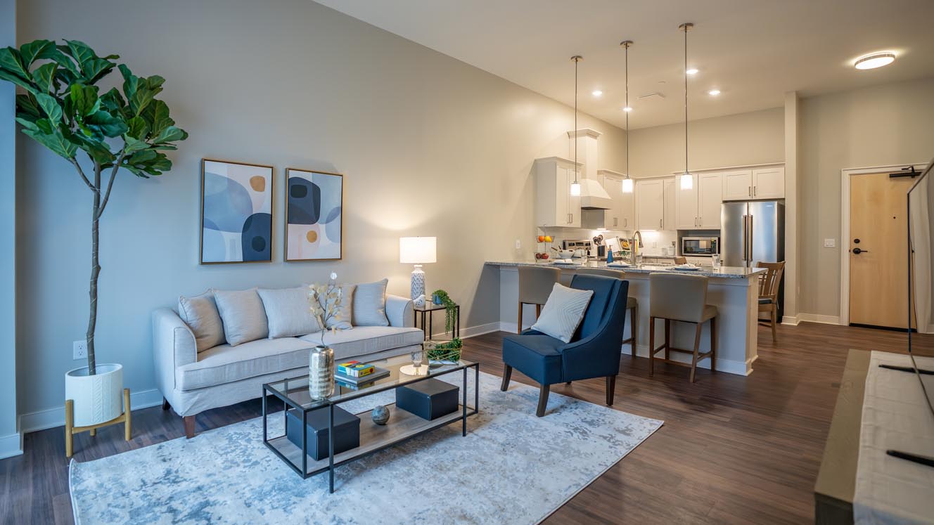 living room and kitchen