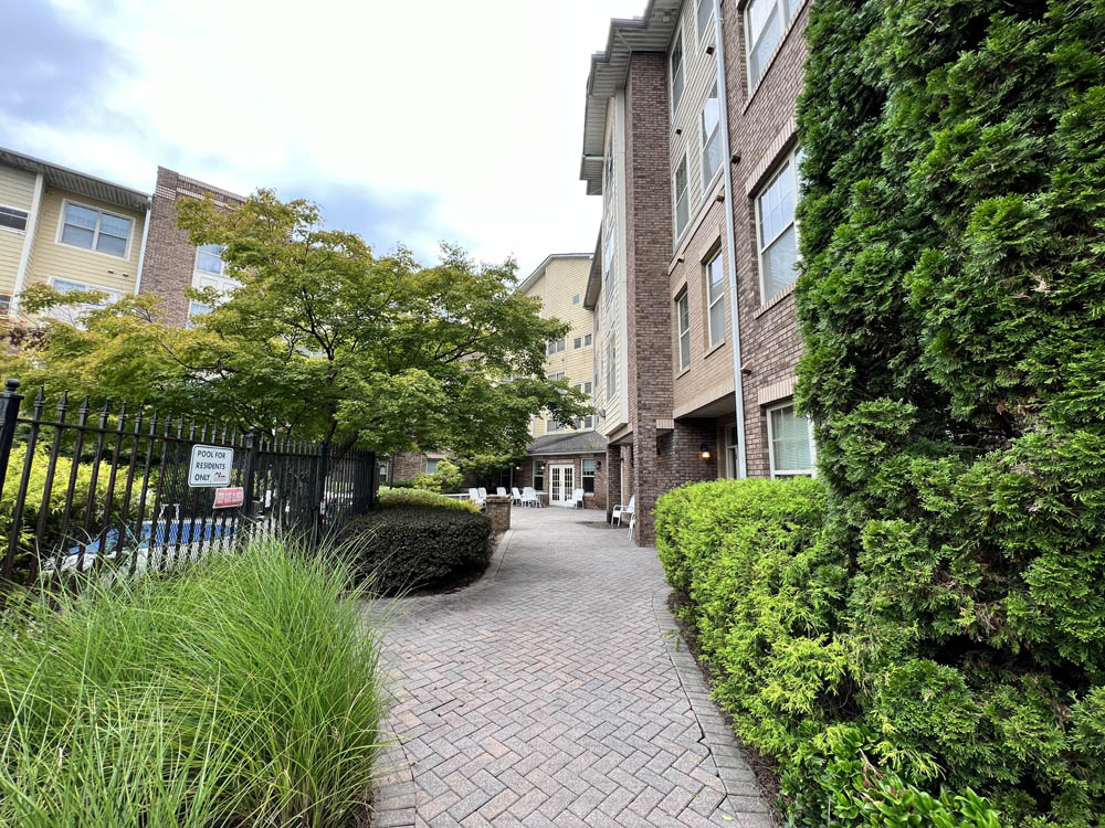 Photo Courtyard Martin House